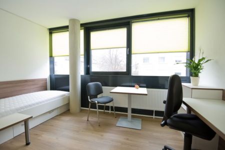 4-Zimmer-Aparmtent (1).jpg